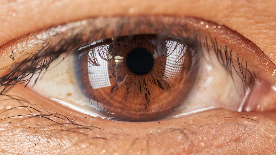 A close-up of a person's eye showcasing the iris patterns.