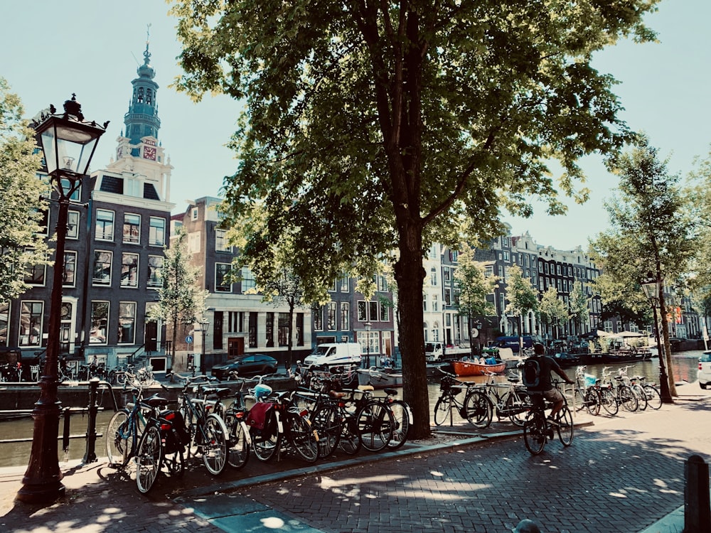 people riding bicycles on road near buildings during daytime