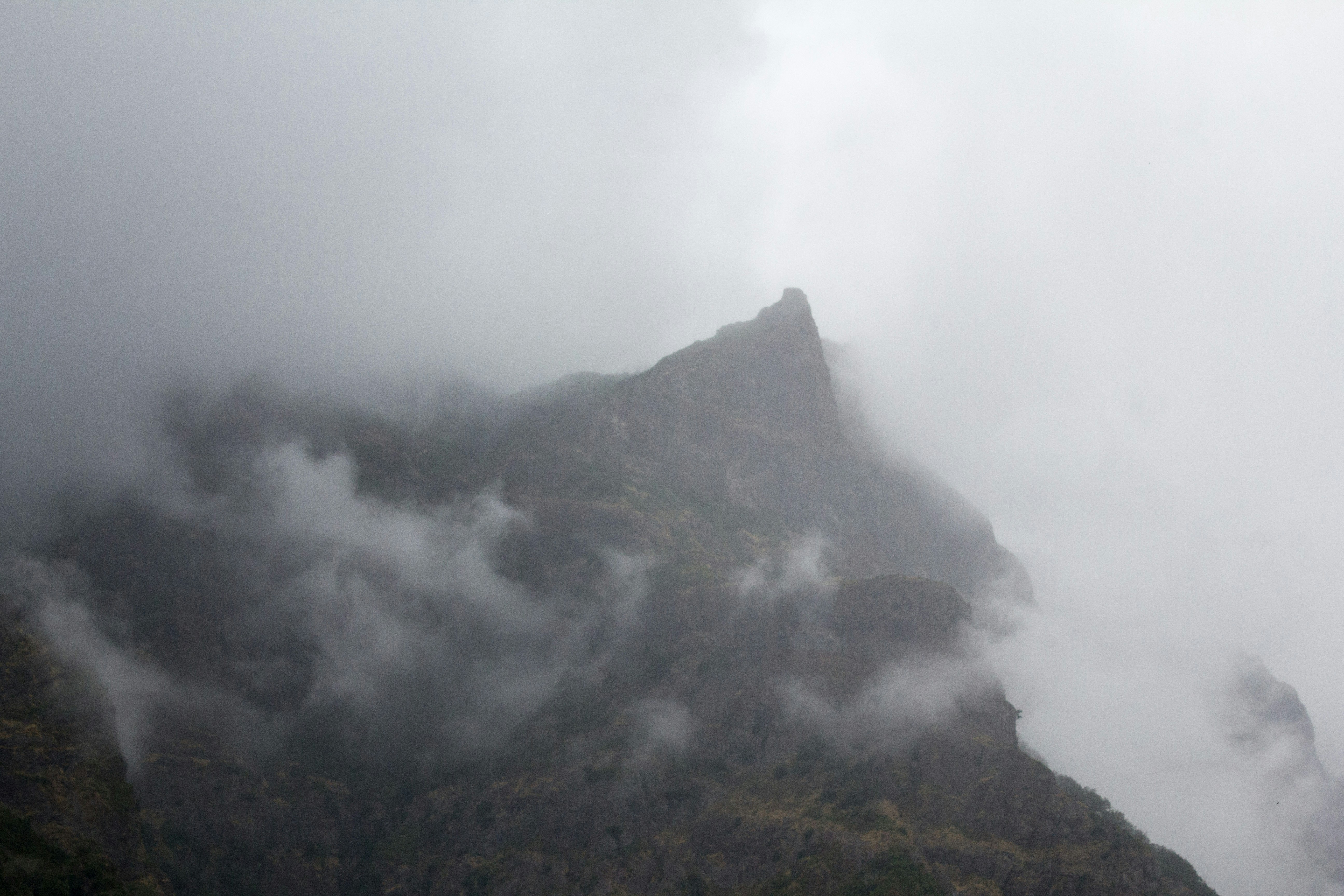 Photo by needfultosay