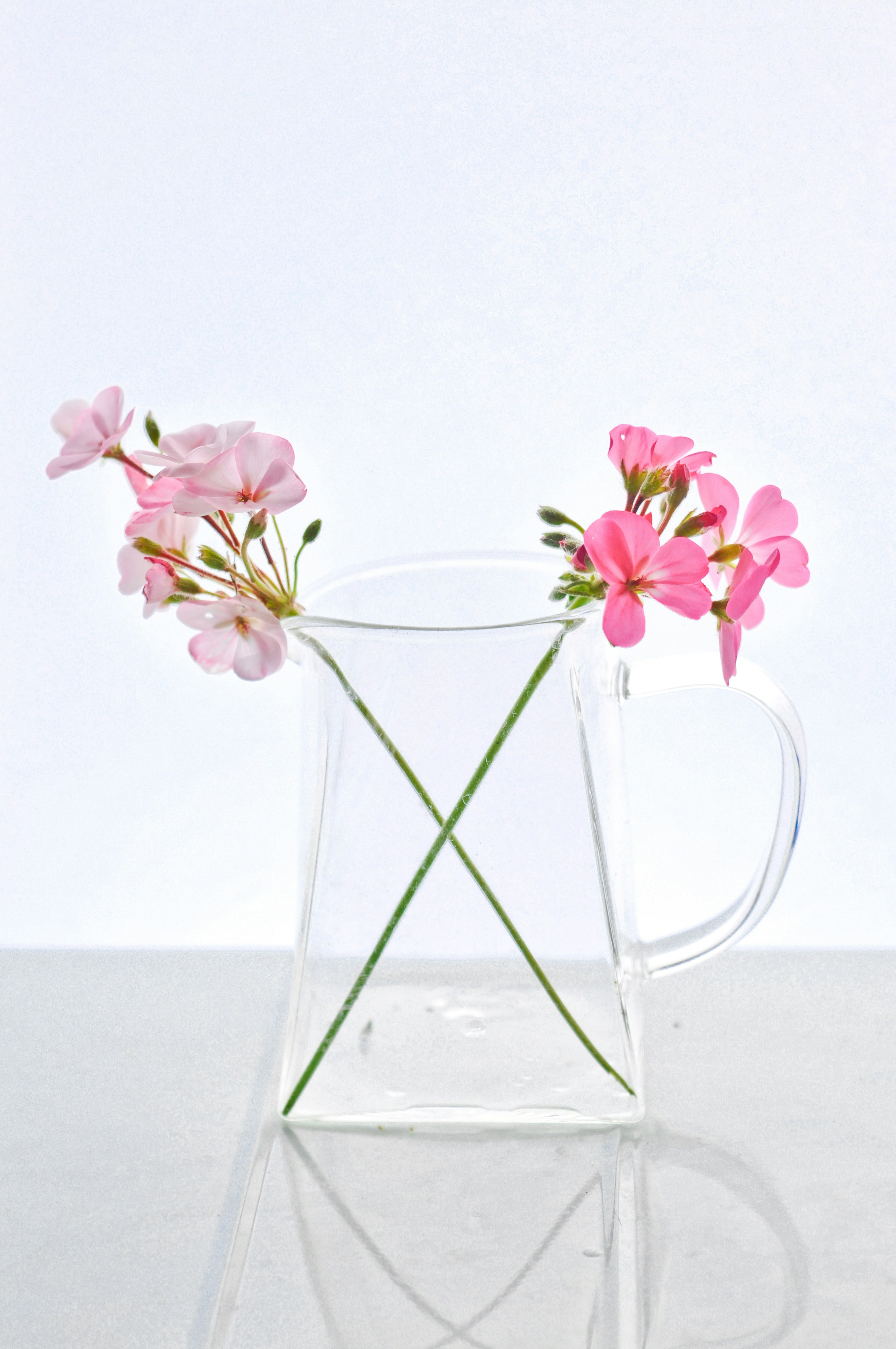 Pink and white flowers in clear glass vase photo Free Flower