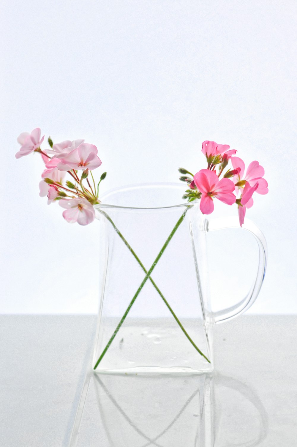 pink and white flowers in clear glass vase