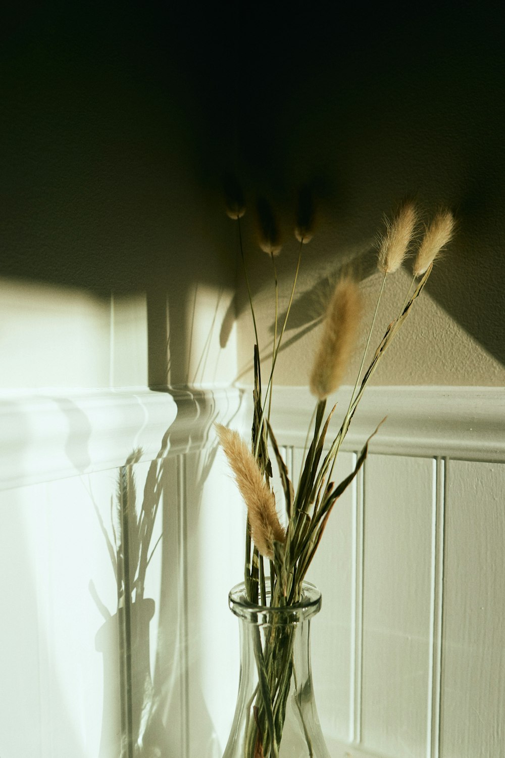 brown dried plant on clear glass vase