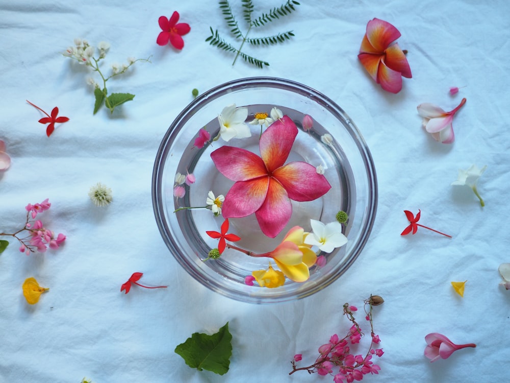 pink and white flower petals in clear glass bowl