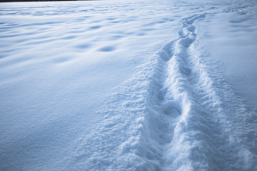 snow covered field during daytime