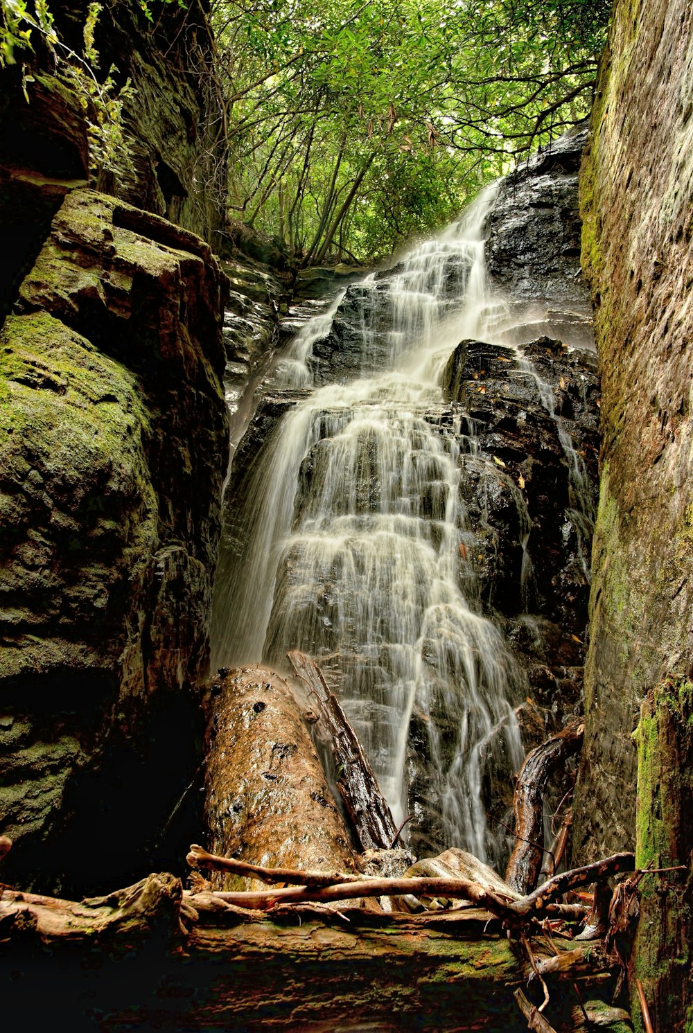 brown tree log on water falls