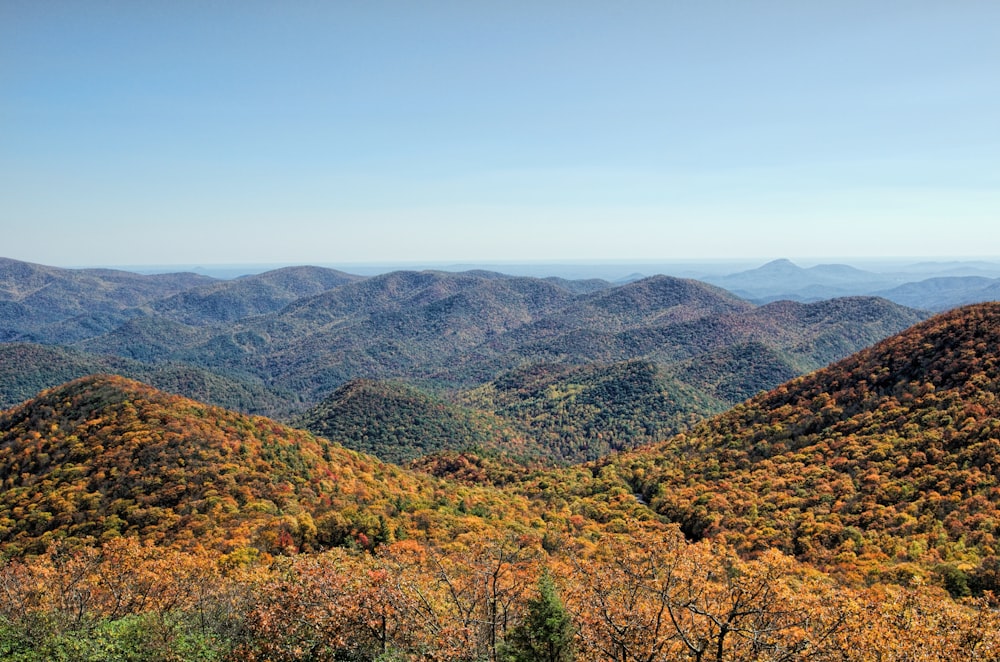 green and brown mountains under blue sky during daytime