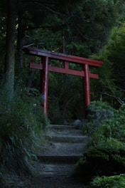 A serene path lined with ancient trees leading to a traditional Japanese temple in Kyoto.
