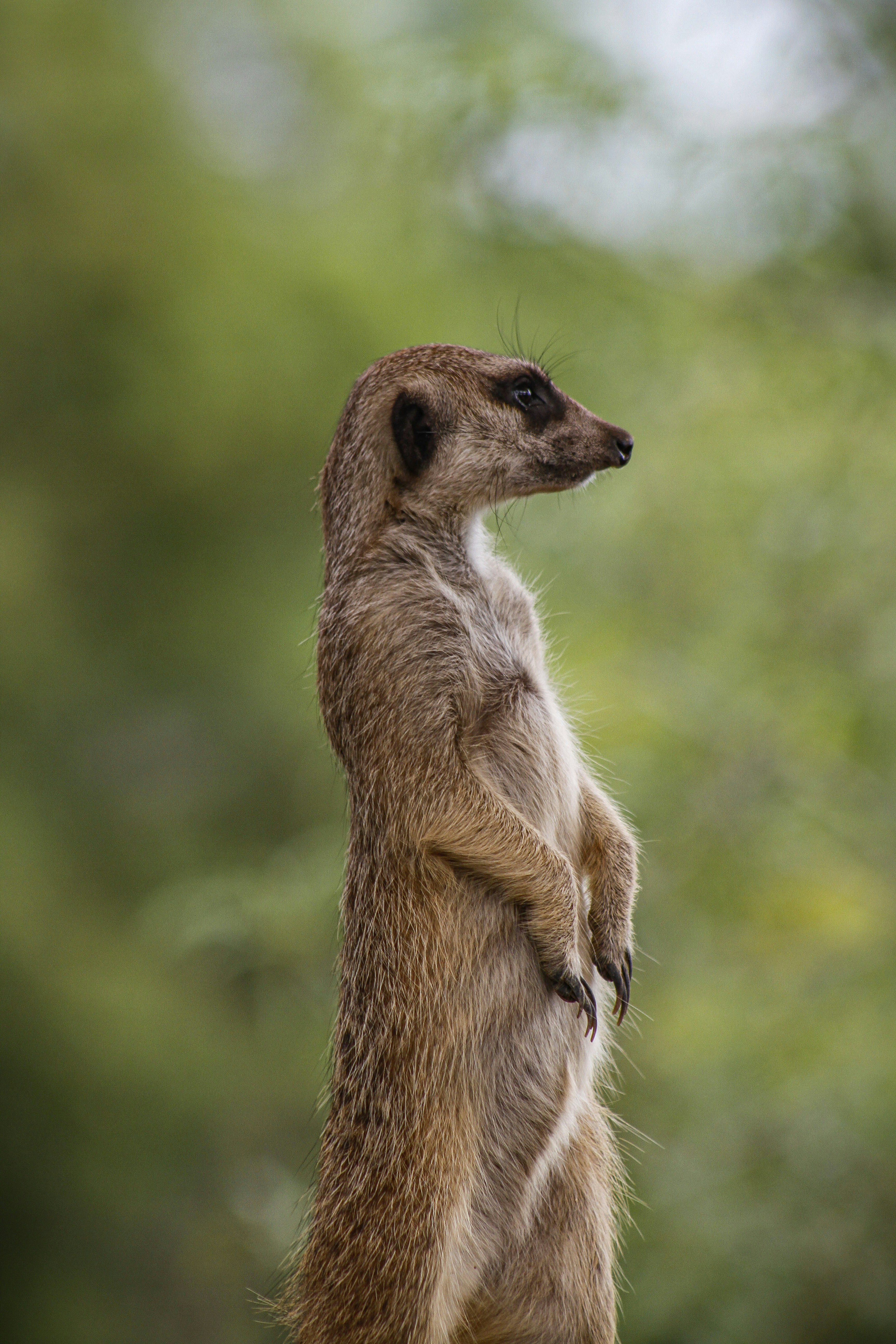 The Human Factor in Expedition Failure: Managing Team Dynamics Under Extreme Stress