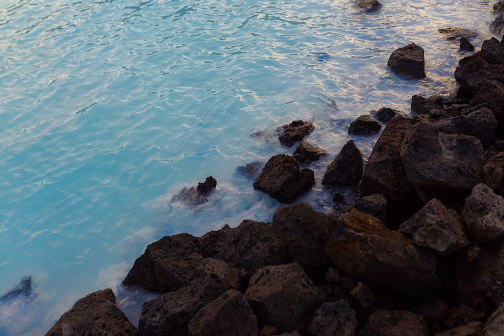 brown rocks on sea shore during daytime