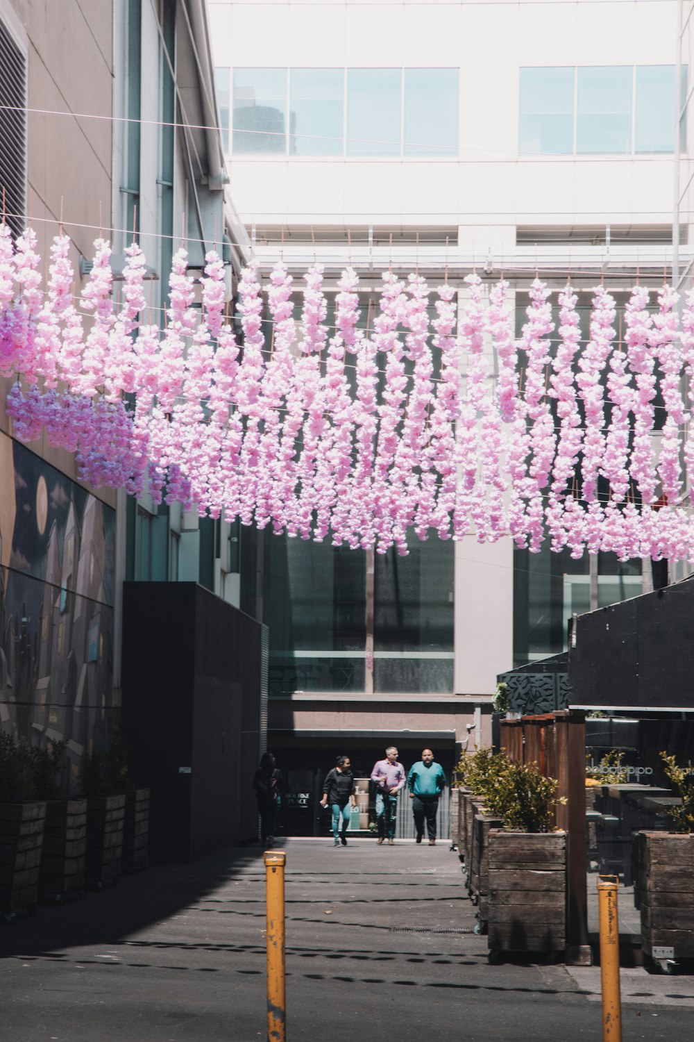 pink and white hanging decor