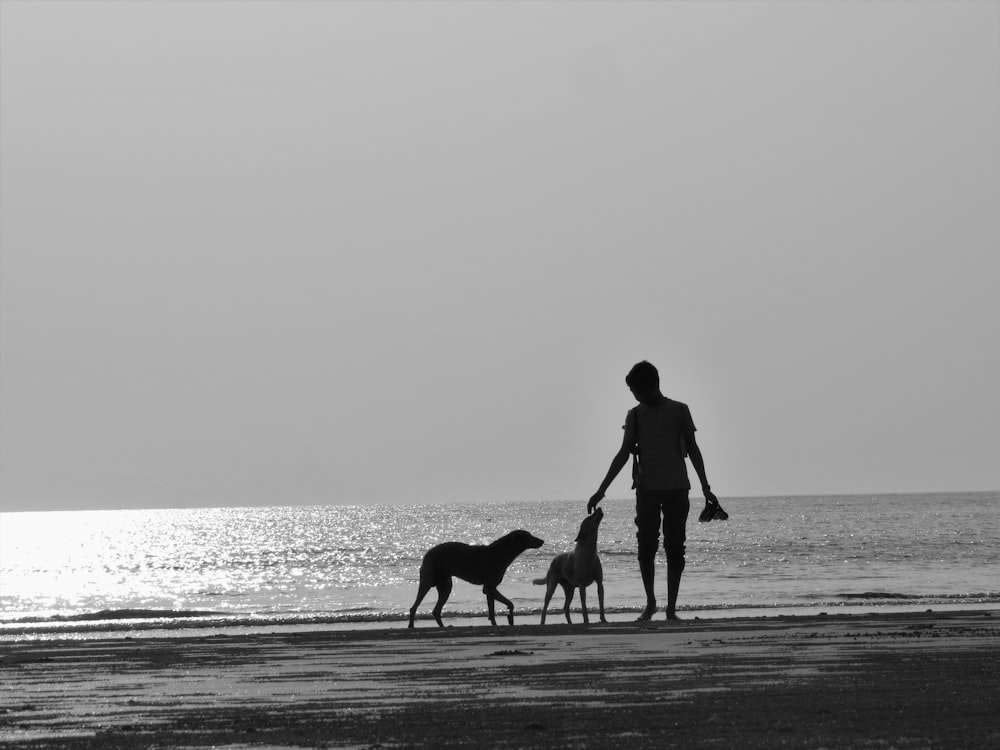 silhouette of man and dog walking on beach during daytime
