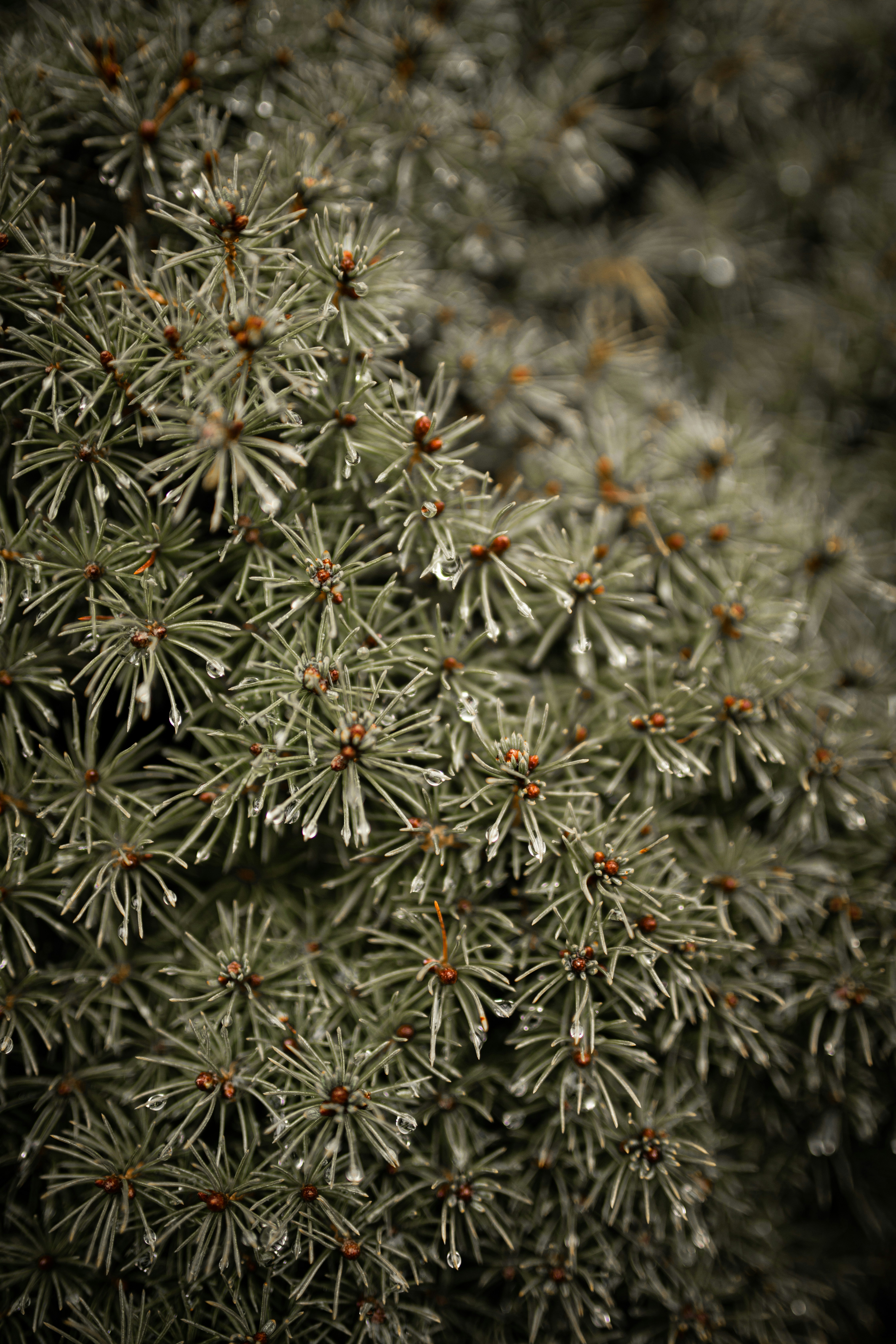 Photo by kajareichardtphotos