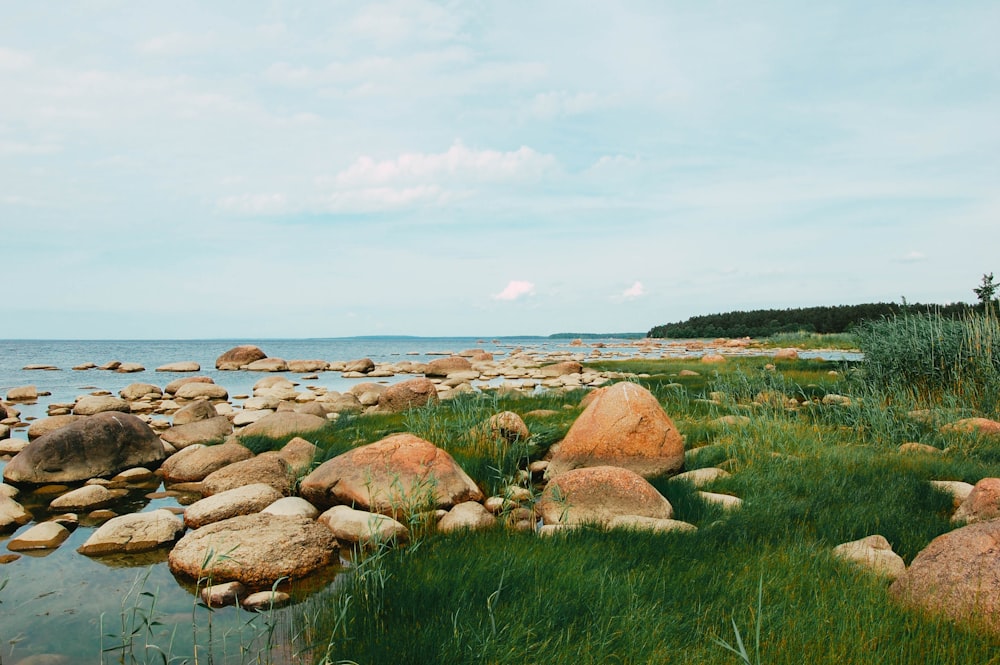 brown rocks on green grass field near body of water during daytime