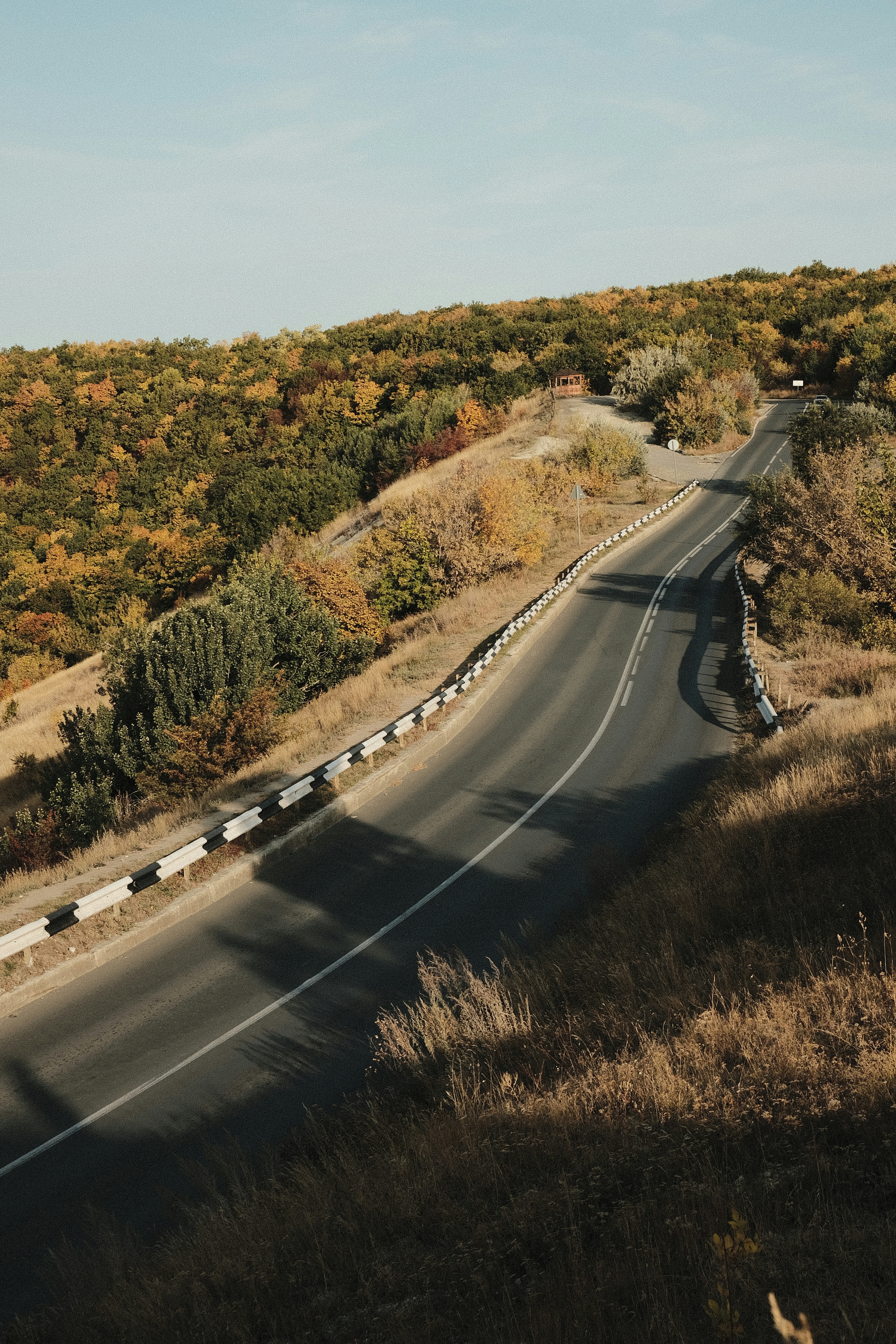 Photo by sarkozhevnikov