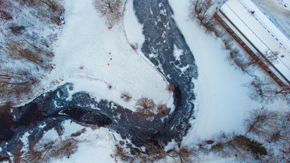 snow covered ground during daytime