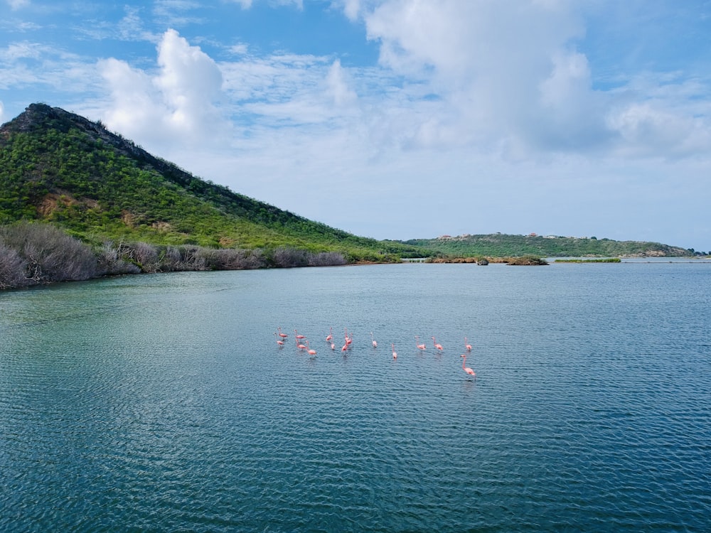 pessoas andando de barco no lago durante o dia