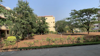 A clean residential yard after brush and debris removal by CG Services.