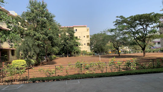 A clean residential yard after brush and debris removal by CG Services.