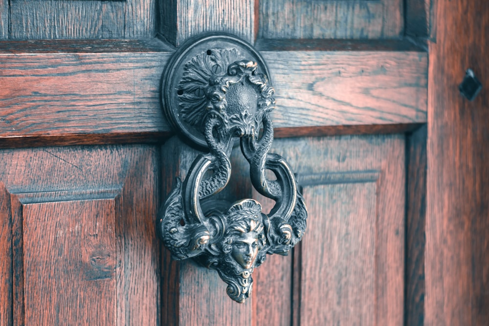 silver lion door handle on brown wooden door