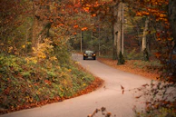 A mach1 vehicle speeding along a winding mountain road with autumn leaves blurring past.