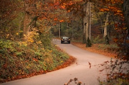 A scenic road trip photo showing a car driving through a forested highway during autumn.