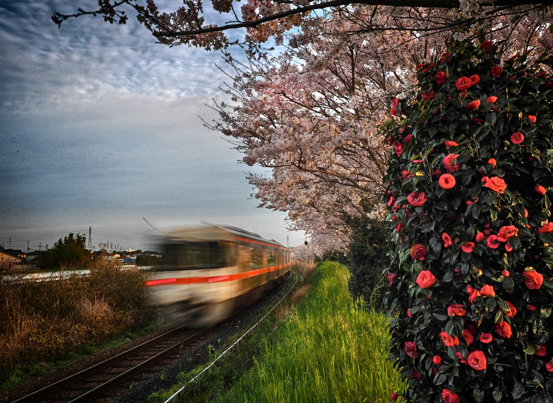black and white bed linen