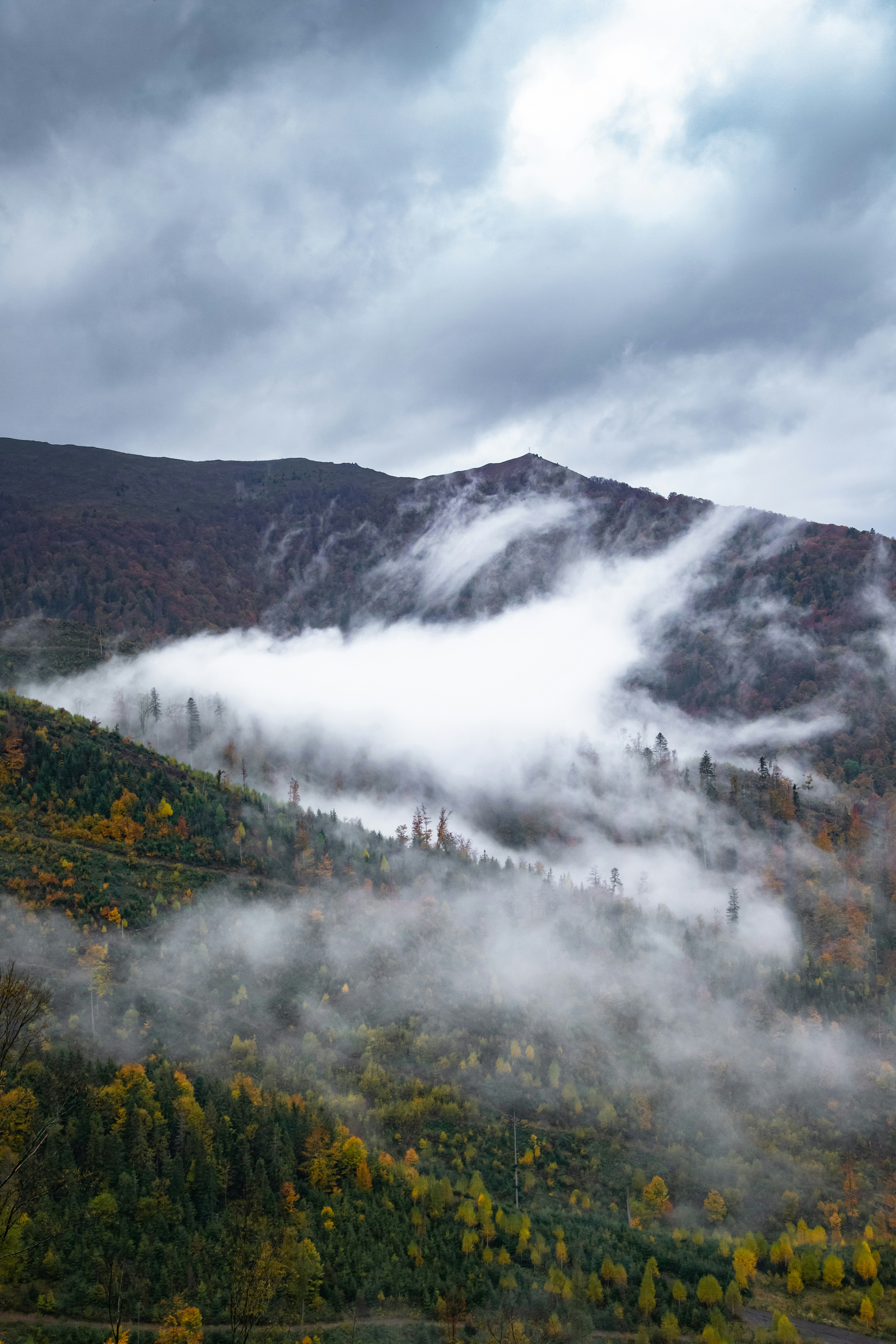 Photo by danevich