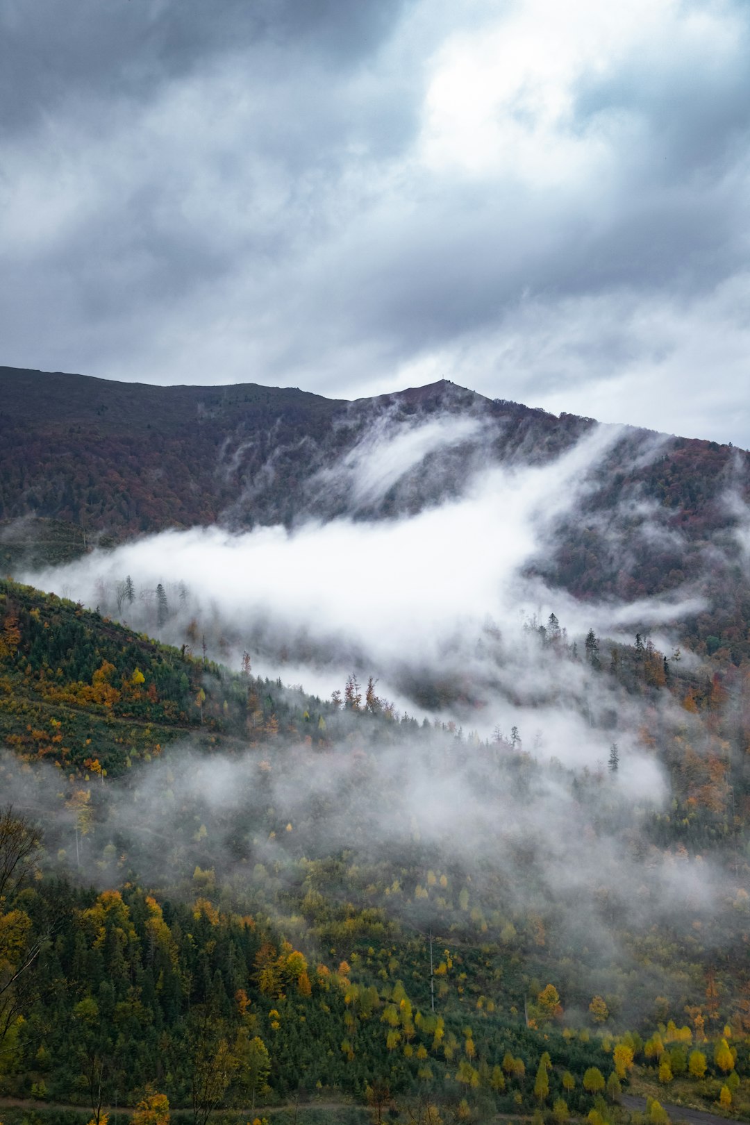 green trees near snow covered mountain during daytime