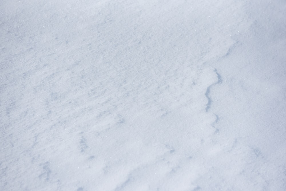 snow covered field during daytime