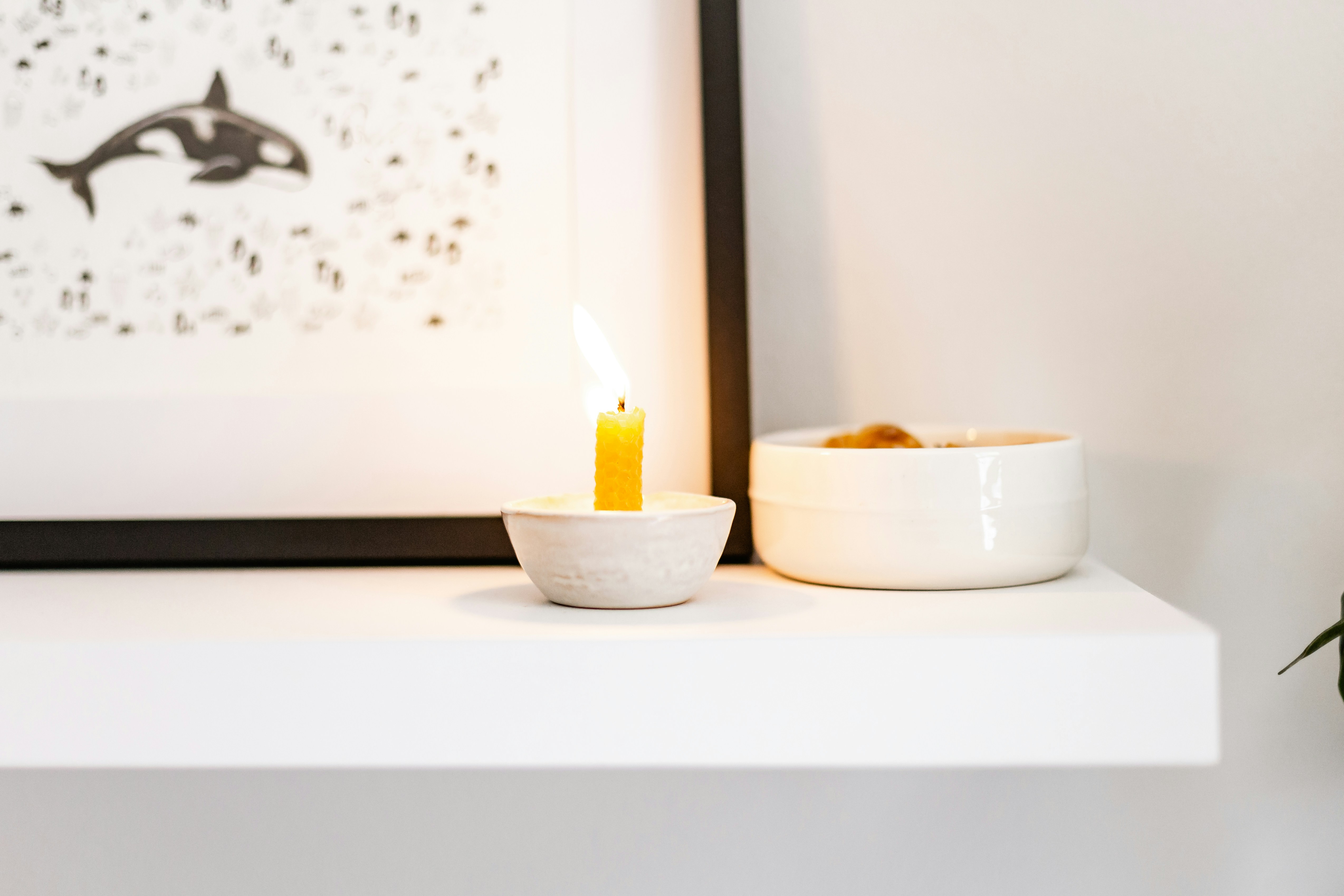 Photo by sincerelymedia