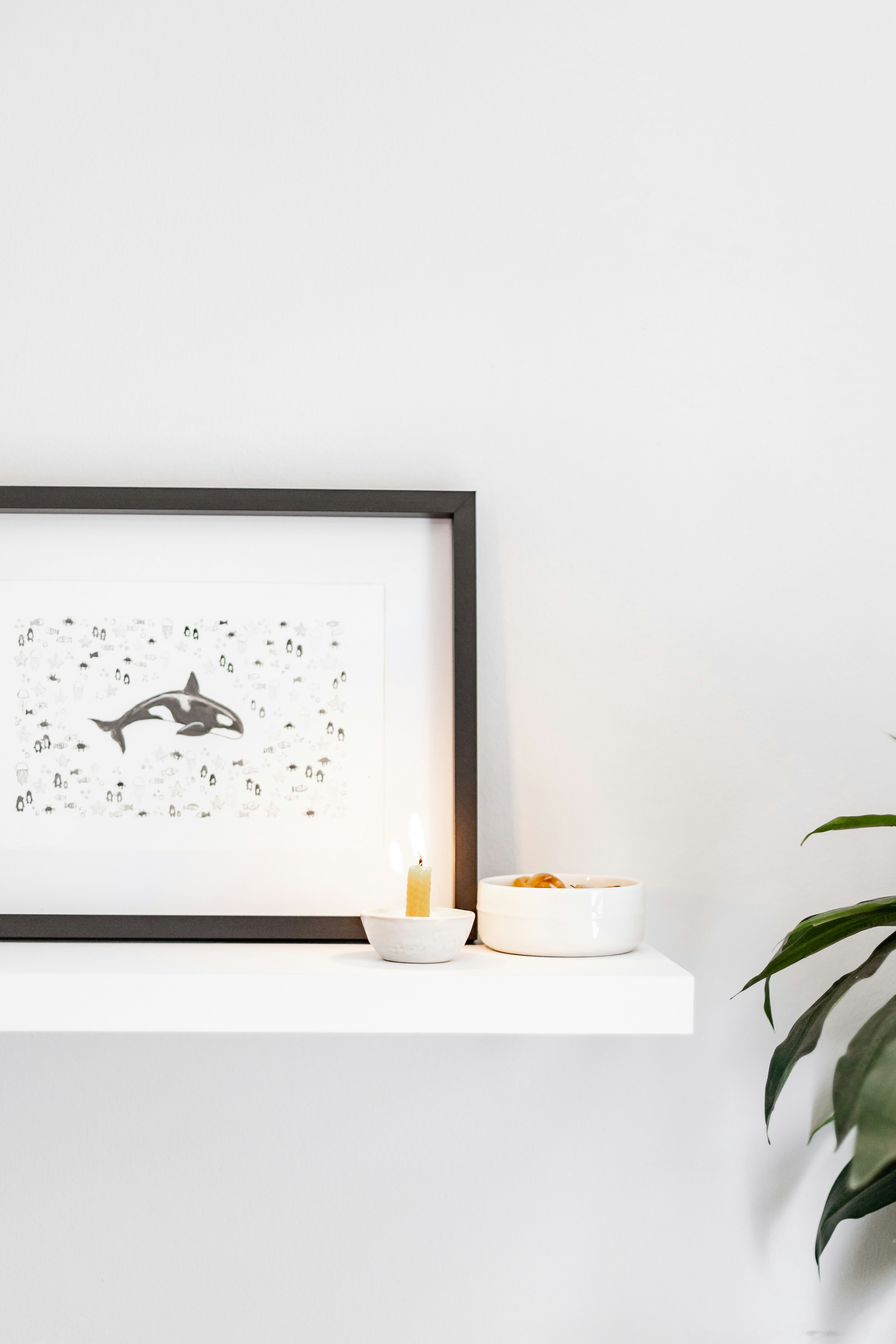 Photo by sincerelymedia