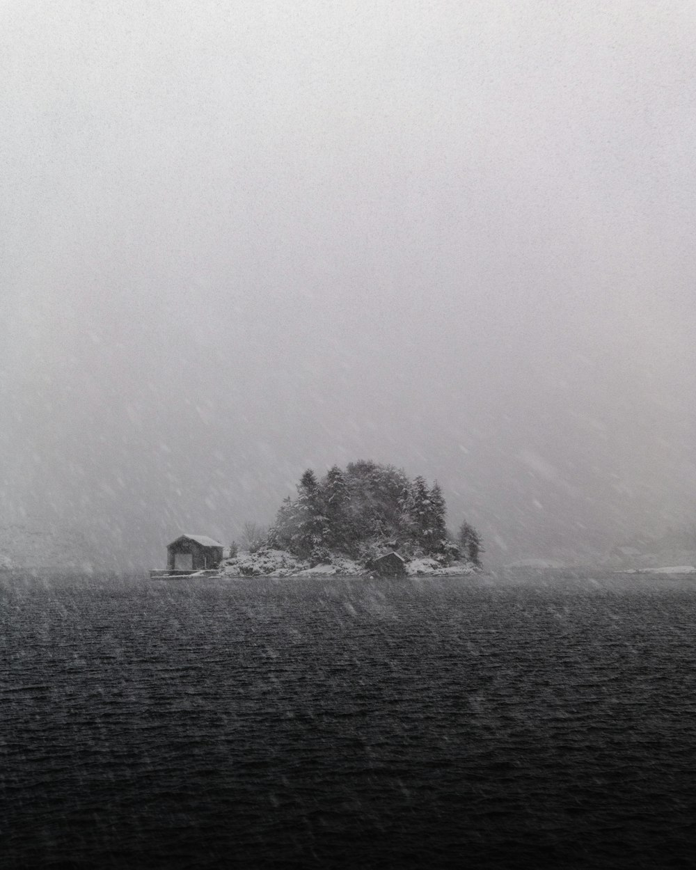 house on hill near trees covered with fog