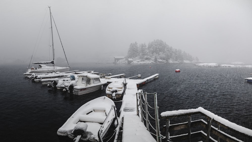 white and black motor boat on sea during daytime