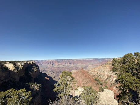 A breathtaking view of the Yellowstone Grand Canyon rim glowing with autumn colors under a clear blue sky.