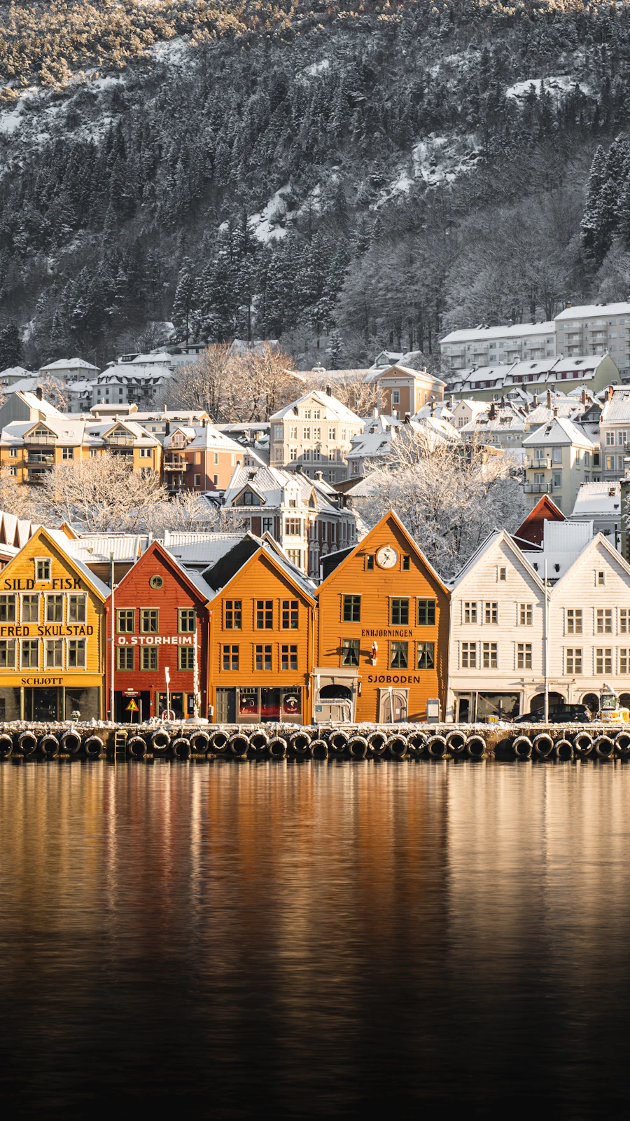 The colored Bryggen wharf houses in Bergen, Norway