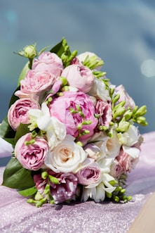 pink roses in close up photography