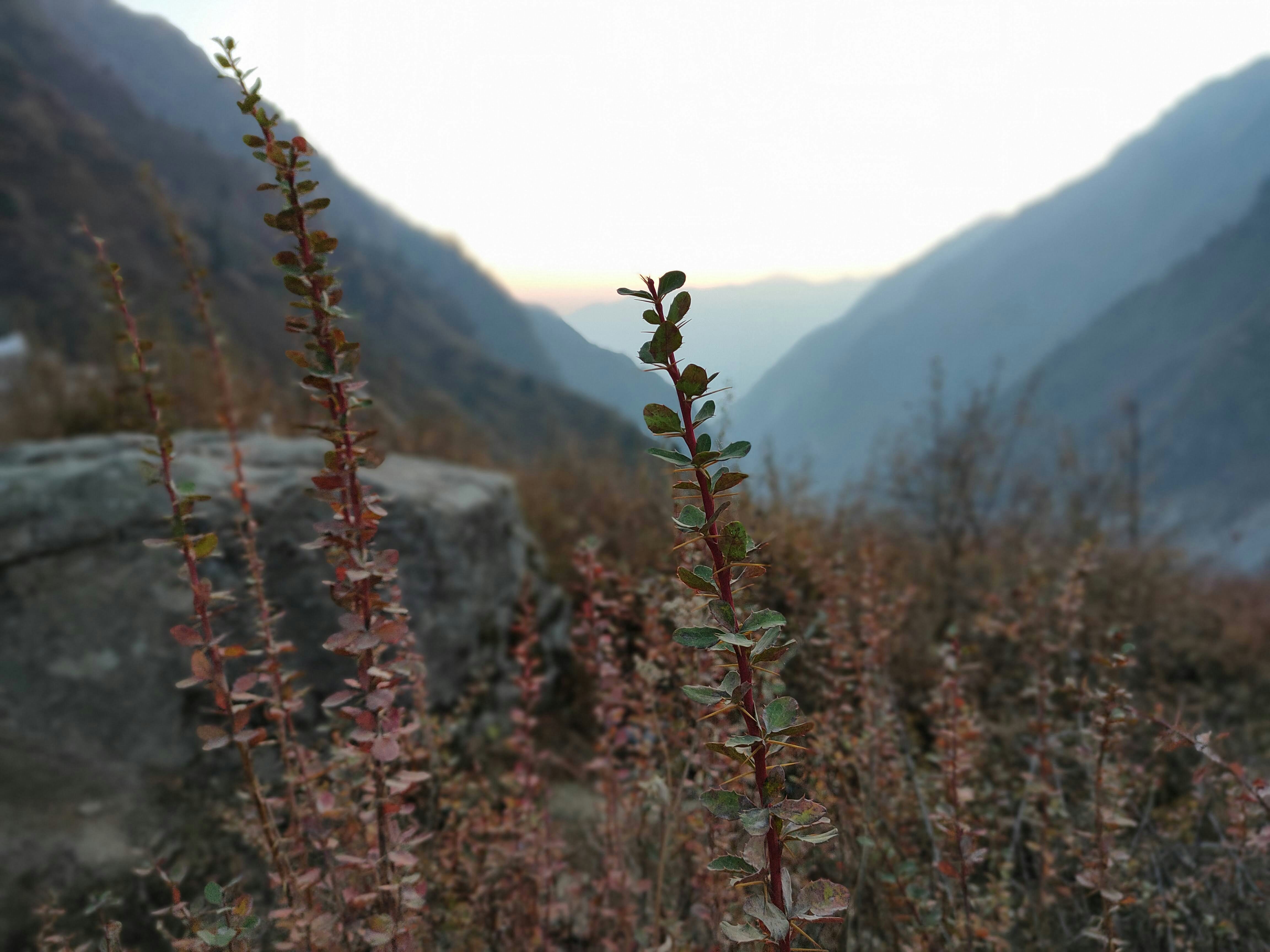 Understanding Feature Learning in Relation to Late Descent