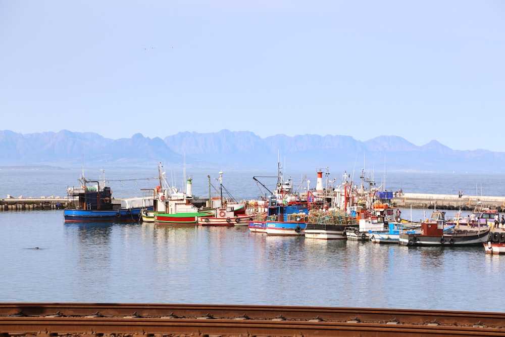 boats on dock during daytime