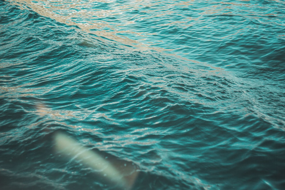 Foto de primer plano del cuerpo de agua