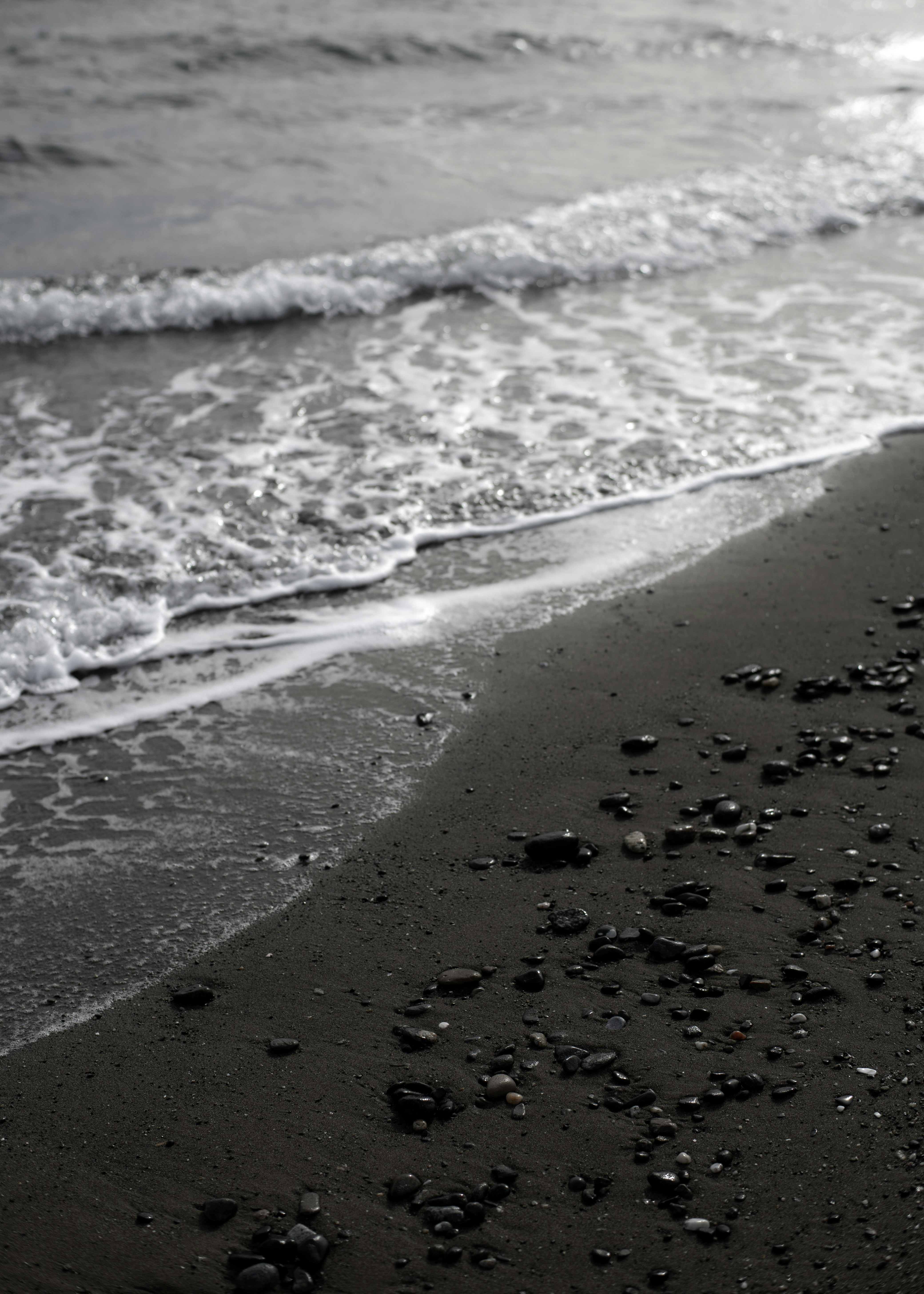 Photo by victor_vector