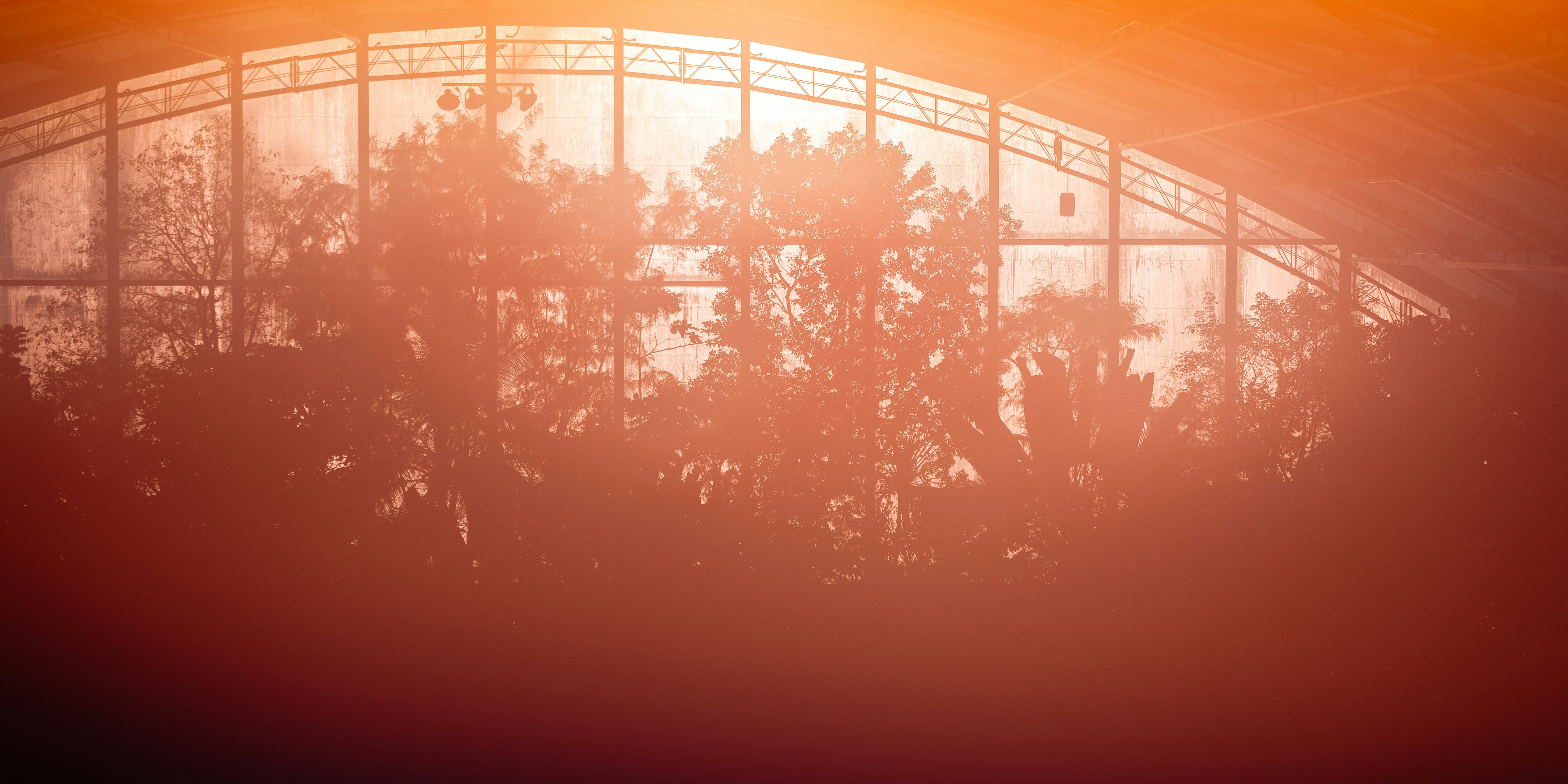 grüne Bäume und Pflanzen auf Gewässern