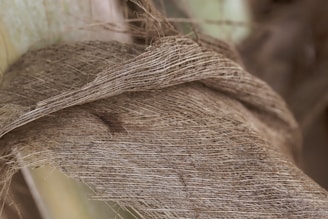 Layered texture of fibrous material with intricate details of interwoven threads, possibly part of a plant wrapping or bark. The fibers appear dry and have a natural, earthy hue.