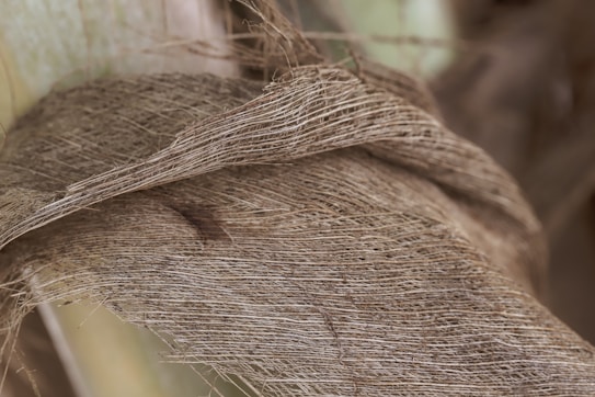 Layered texture of fibrous material with intricate details of interwoven threads, possibly part of a plant wrapping or bark. The fibers appear dry and have a natural, earthy hue.
