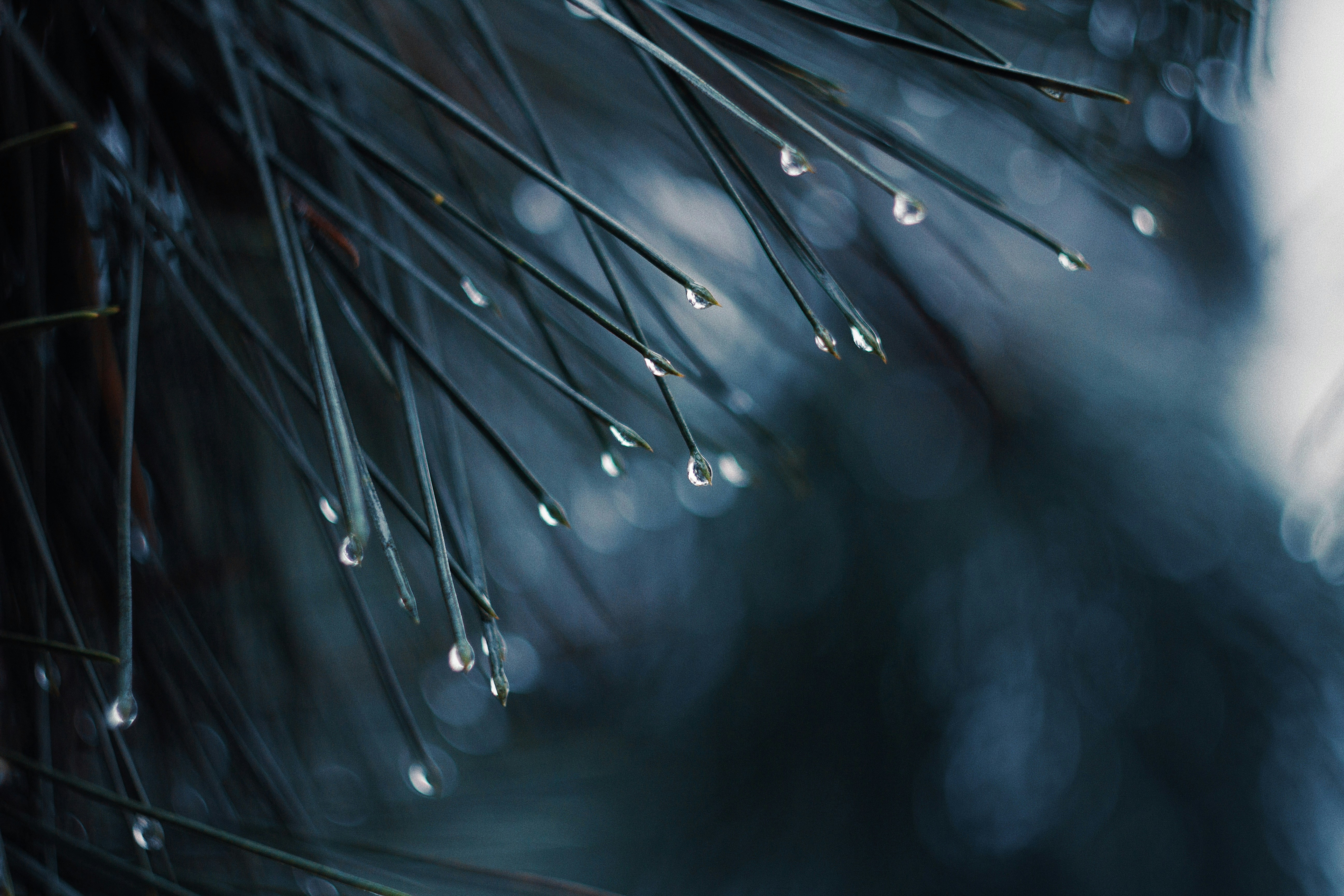 Photo by igortudoran