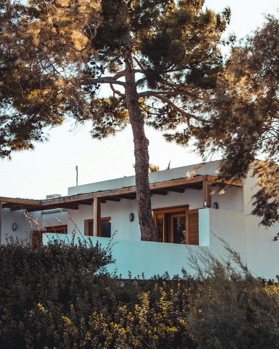 white concrete house with green trees