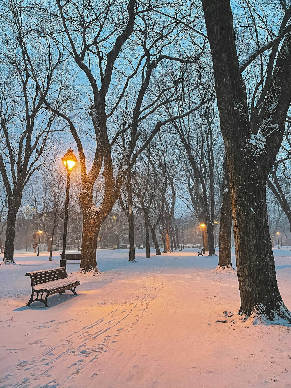 Banco de madera marrón en suelo cubierto de nieve durante la noche