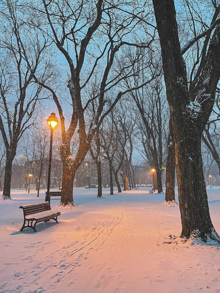 Don't stay out in the Snow