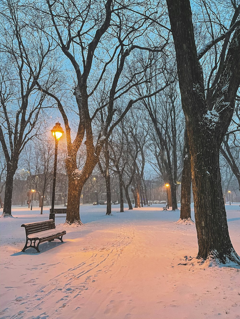 brown wooden bench on snow covered ground during night time
