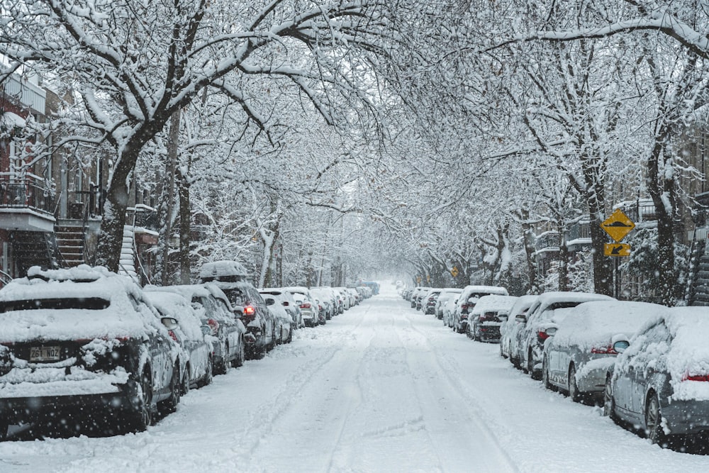 snow covered road with cars parked on side