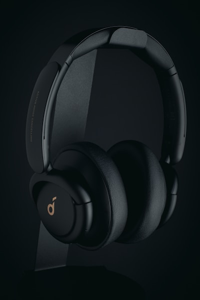 Bose Soundlink Flex